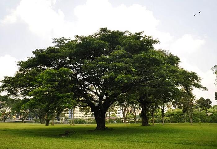 O vínculo verde da Ardagh Metal Packaging colhe o sucesso da sustentabilidade